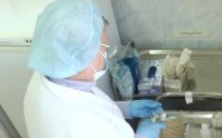 Свердловские эпидемиологи называют обстановку с заболеваемости ОРВИ и гриппом в области стабильной