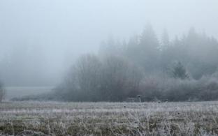 Рабочая неделя в Первоуральске будет прохладной