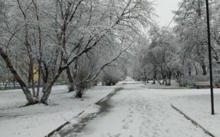 Рабочая неделя в Первоуральске будет снежной
