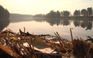 Выходные в Первоуральске будут прохладными