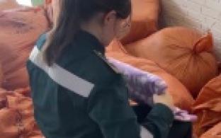 Рост внешнеторгового оборота и дополнительных поступлений в бюджет отмечают сотрудники уральских таможенных служб