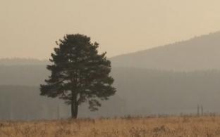 Выходные в Первоуральске будет прохладными и дождливыми