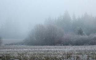 Рабочая неделя в Первоуральске будет прохладной