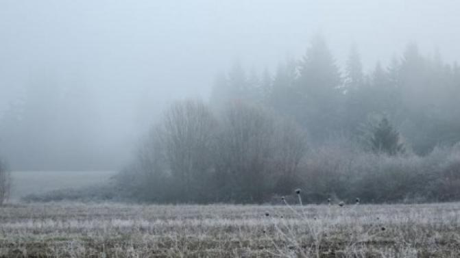 Рабочая неделя в Первоуральске будет прохладной