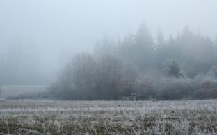 В выходные в Первоуральске похолодает
