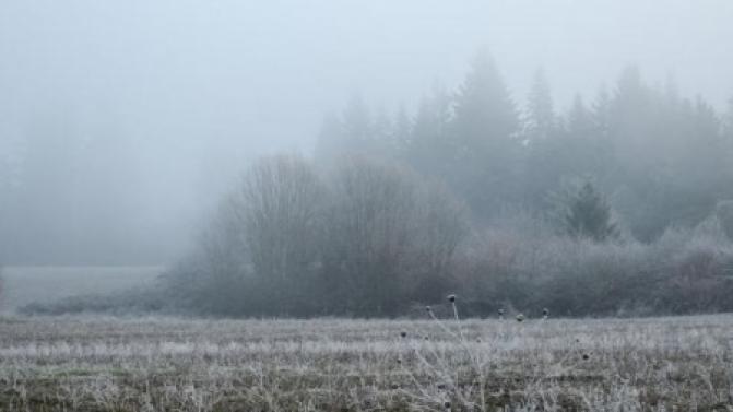 В выходные в Первоуральске похолодает