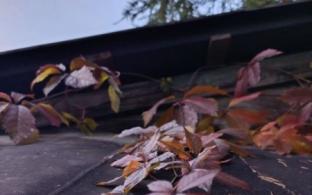 В Первоуральске станет прохладнее к концу рабочей недели