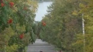 Повысить качество жизни в городе, сделать его красивее и комфортнее – совместными усилиями