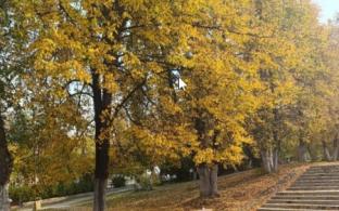 Рабочая неделя в Первоуральске будет по-осеннему тёплой