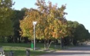 Осень началась на Среднем Урале с дождей и похолодания