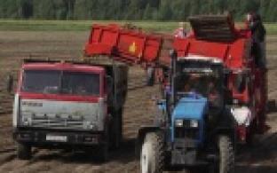 Первоуральские аграрии активно продолжают уборочную кампанию