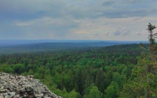 Рабочая неделя в Первоуральске будет дождливой