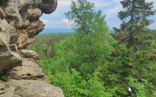 Рабочая неделя в Первоуральске будет тёплой