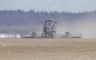 Вопросы сельского хозяйства и защиты окружающей среды Среднего Урала обсуждали Денис Паслер и Дмитрий Патрушев