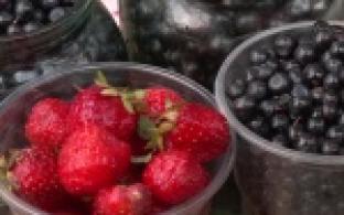 Грибной и ягодный сезон – время не только для удовольствия, но и для повышенной осторожности