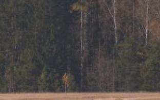 За обучение специальностям тракториста-машиниста, животновода или оператора машинного доения сельхозтоваропроизводители смогут получить компенсацию