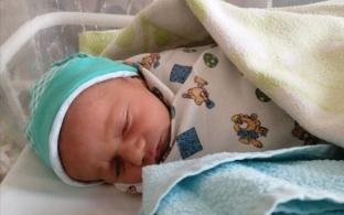 17 316 малышей родились в Свердловской области за 6 месяцев 2025 года