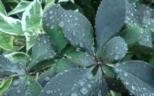 Выходные в Первоуральске будут прохладными