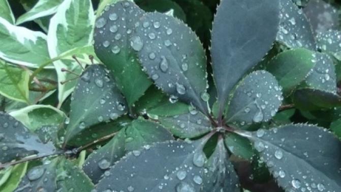 Выходные в Первоуральске будут прохладными