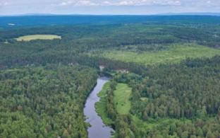 В Свердловской области отменят противопожарный режим