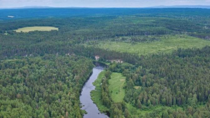 В Свердловской области отменят противопожарный режим