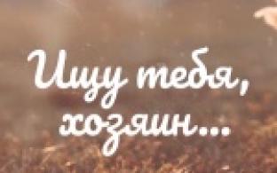 Ищу тебя, хозяин. 01-07-2025