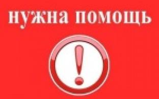 Приглашаем желающих помочь в восстановлении мирной жизни в Курской области