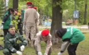 Более пятидесяти саженцев липы, рябины и кедров высадили сегодня в Театральном парке сотрудники крупного химического предприятия