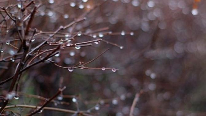 Рабочая неделя в Первоуральске будет прохладной