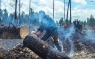 Почти 500 рейдов провели инспекторы Свердловской области с начала пожароопасного сезона