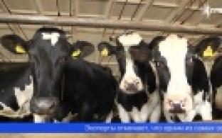 Молока много не бывает! В этом убедились участники фермерского семинара