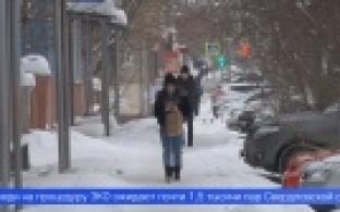 Все больше уральцев обращаются к медикам, чтобы стать родителями