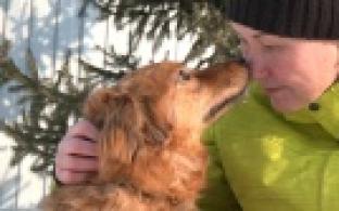 Ищу тебя, хозяин