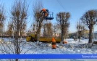 Более двухсот тополей и клёнов кронировали в Первоуральске с начала зимы