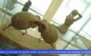 Мифологические сюжеты соседствуют с бытовыми сценами и анималистическими композициями