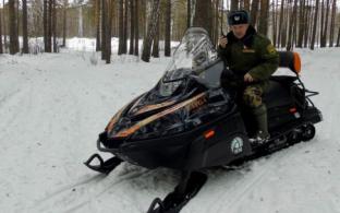 Свыше 100 миллионов рублей выделят на борьбу с браконьерами в уральских лесах