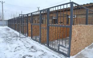 Первый в Свердловской области межмуниципальный приют для бездомных животных открылся в Асбесте