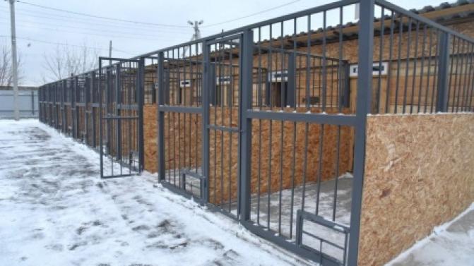 Первый в Свердловской области межмуниципальный приют для бездомных животных открылся в Асбесте