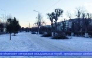 В Первоуральске кронируют тополя