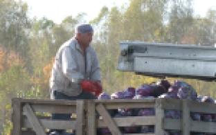 По плану и даже больше