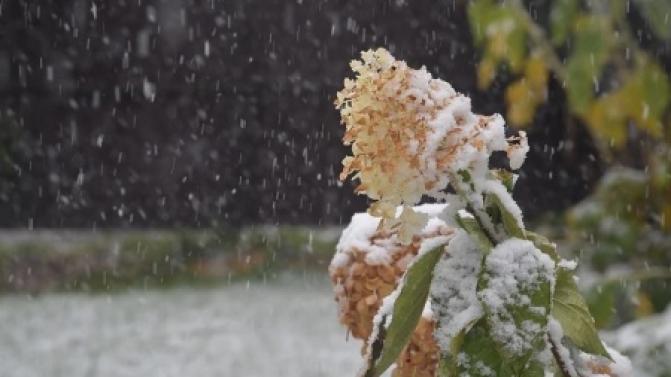 Выходные в Первоуральске будут прохладными