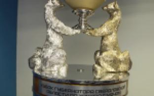 Соревнования, которых в истории Первоуральска ещё не было