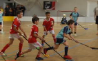 Наш город в очередной раз стал площадкой проведения открытого турнира по флорболу