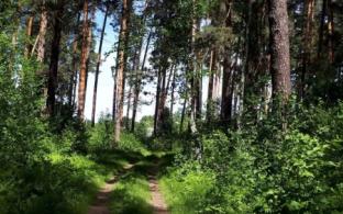 Минприроды региона призывает жителей соблюдать правила пожарной безопасности во время отдыха на природе