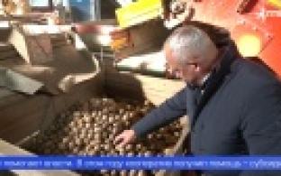 Урожай – выше уровня прошлого года