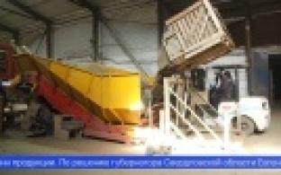 Уборка овощей и картофеля на сельхозпредприятиях Свердловской области вошла в активную фазу