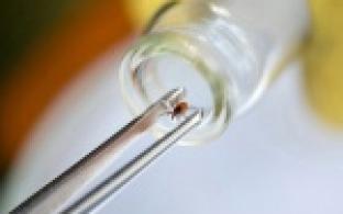 27 тысяч свердловчан пострадали от укусов клещей с начала сезона