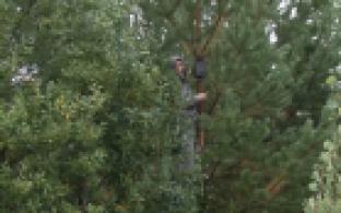 40 случаев несанкционированного складирования мусора помогли зафиксировать фотоловушки, установленные в лесах Свердловской области