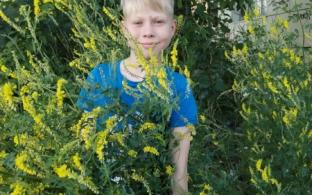 В Первоуральске пропал ребёнок