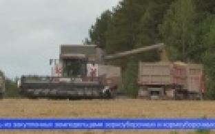 Аграрии получат субсидии на приобретение сельхозтехники и оборудования